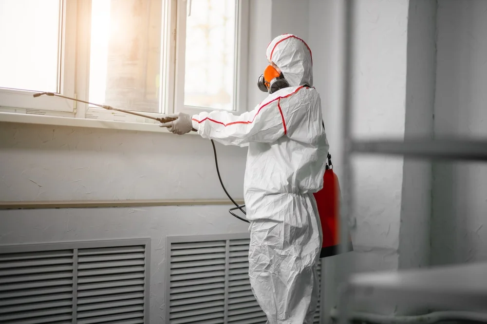Professional mold remediation services in Dayton, NV
